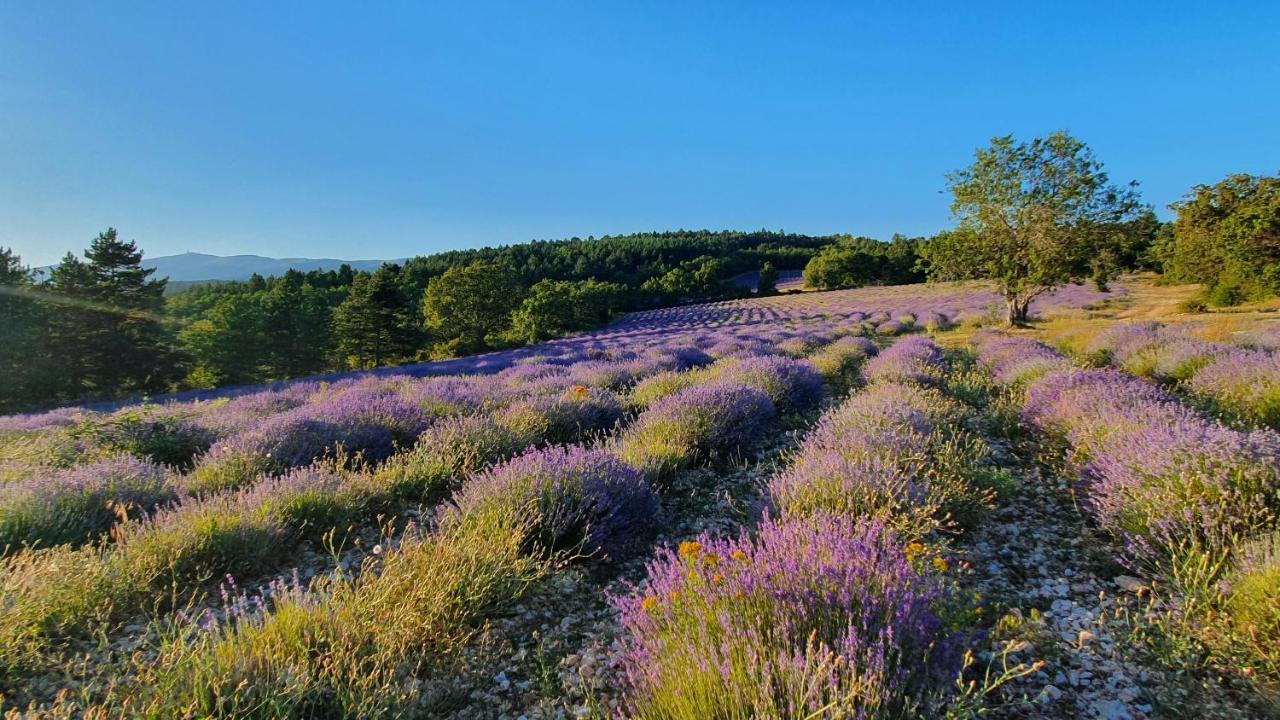 A Ventoux Yourte Monieux Exterior foto