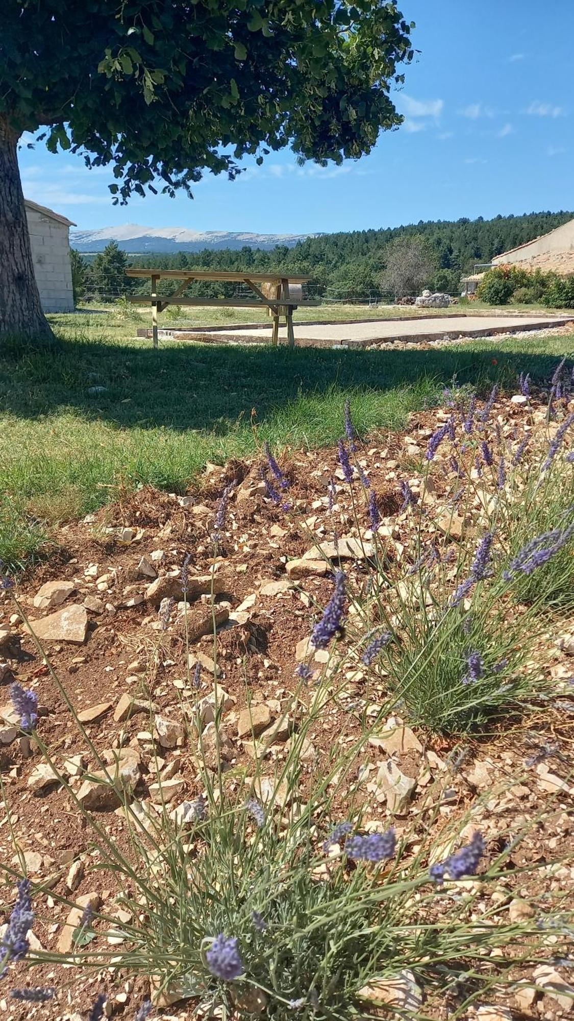 A Ventoux Yourte Monieux Exterior foto
