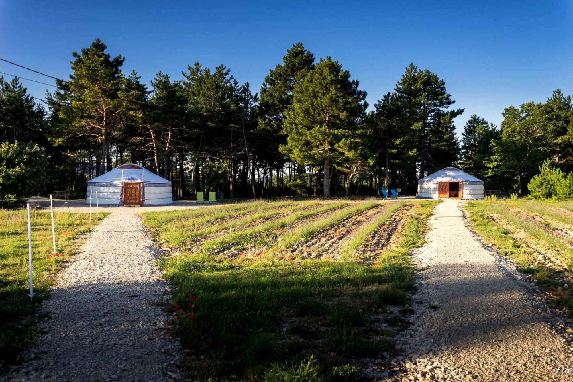A Ventoux Yourte Monieux Exterior foto